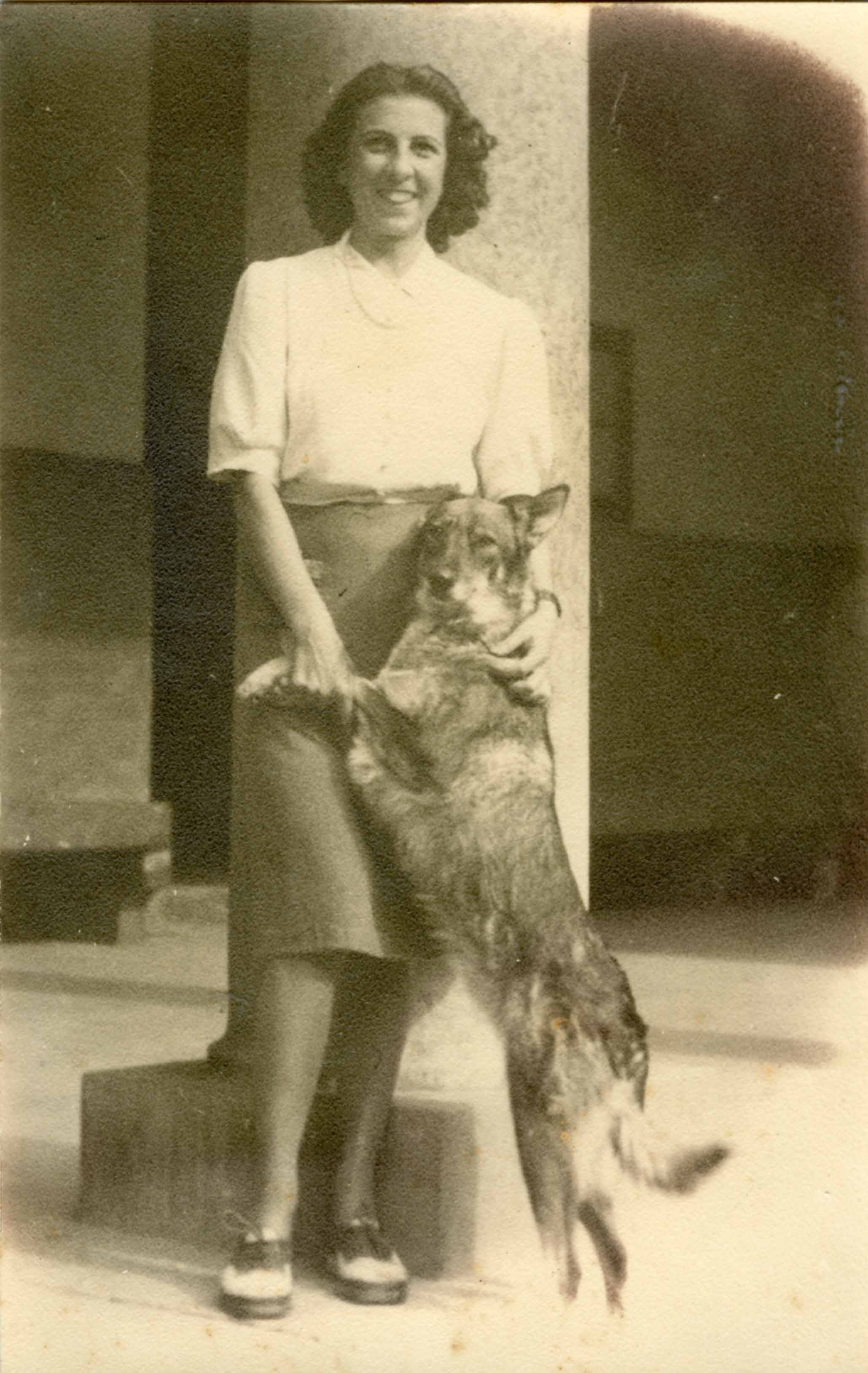Perro Lobo Español, Valencia, años 40