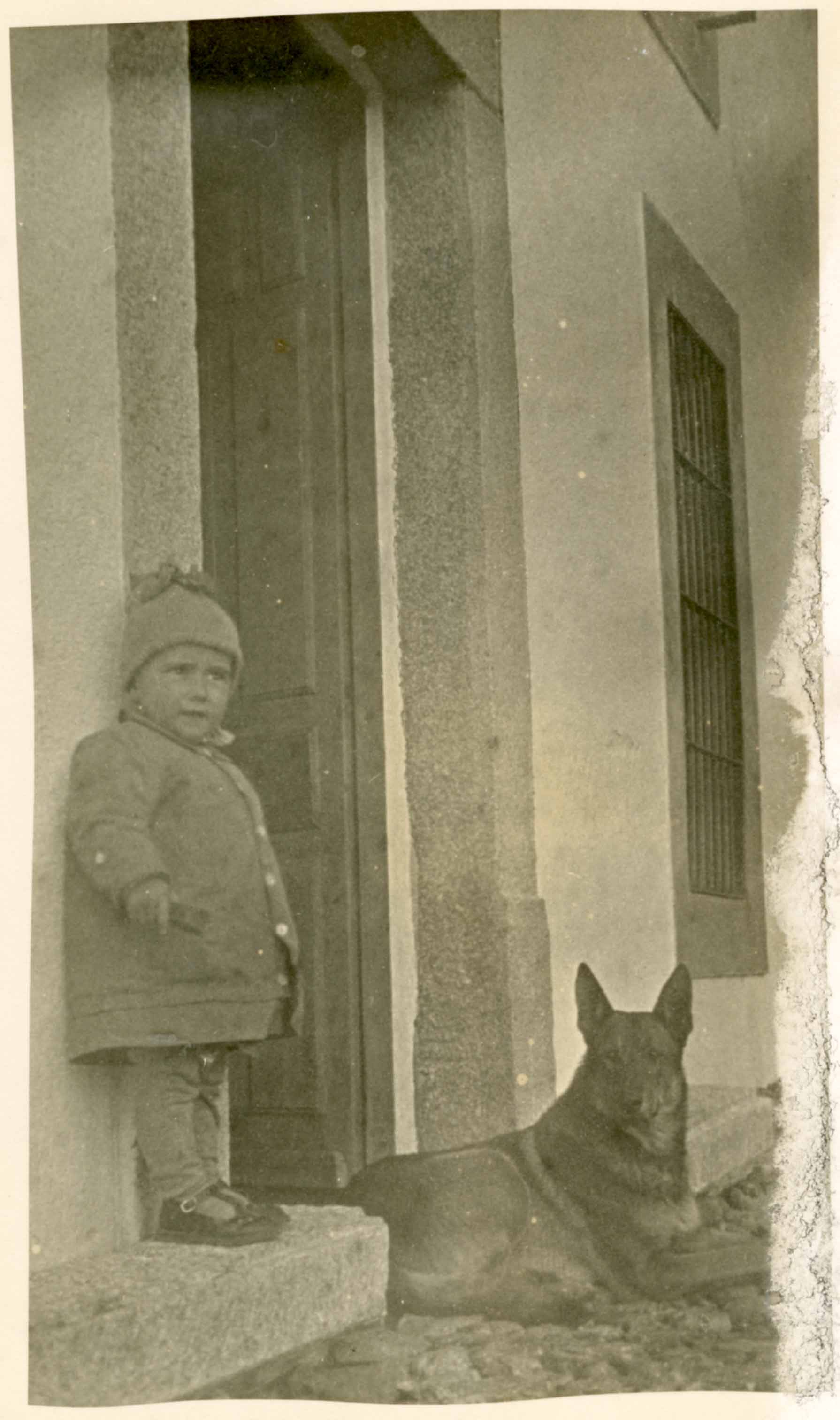 Perro Lobo Español, León, años 50