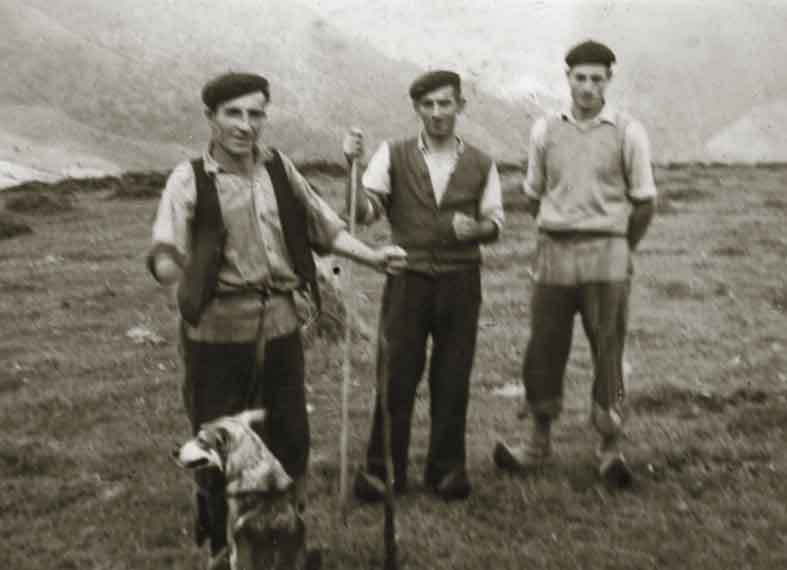 Sejos
