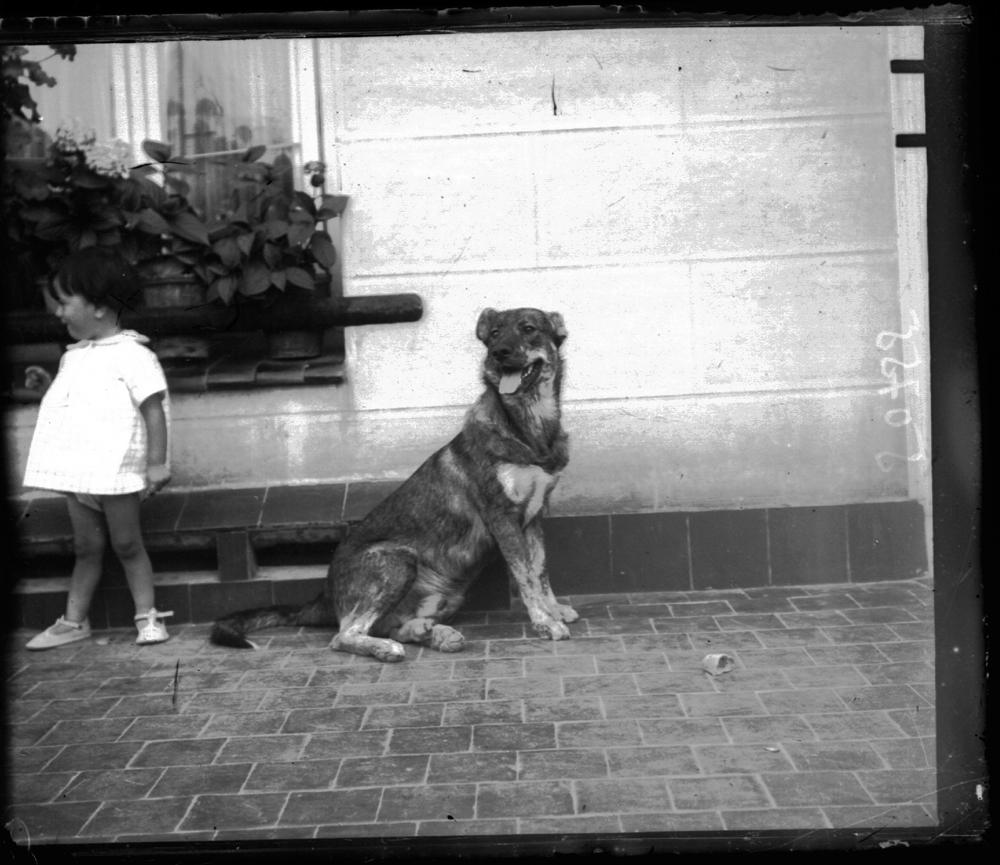Niña con Perro Lobo Español en la calle, hacia 1920